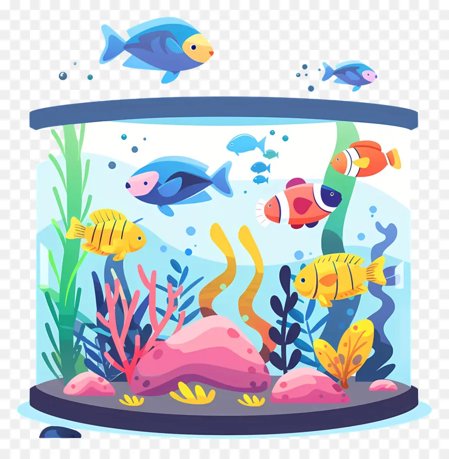 Acuario，Pecera PNG