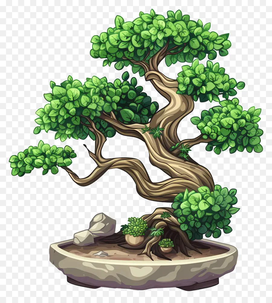 Árbol Bonsái，Hojas PNG