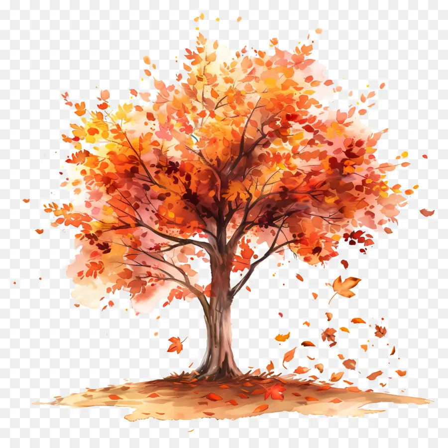 árbol De Otoño，La Caída De Las Hojas PNG