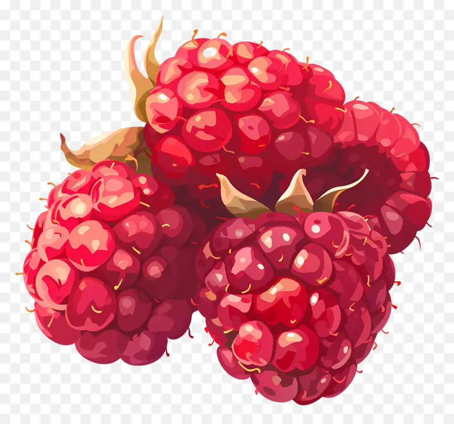 Frambuesas，Frambuesas Rojas PNG