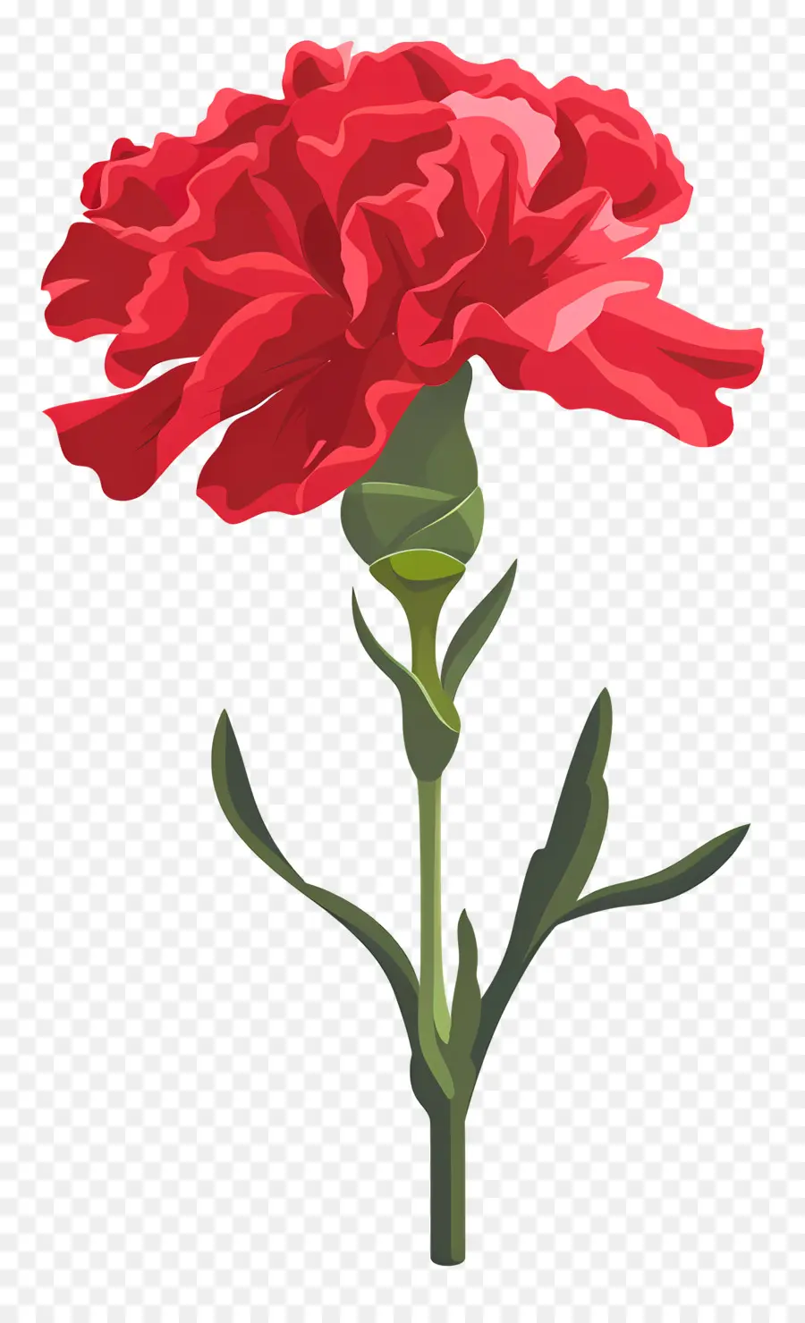 Flor De Clavel，Clavel Rojo PNG