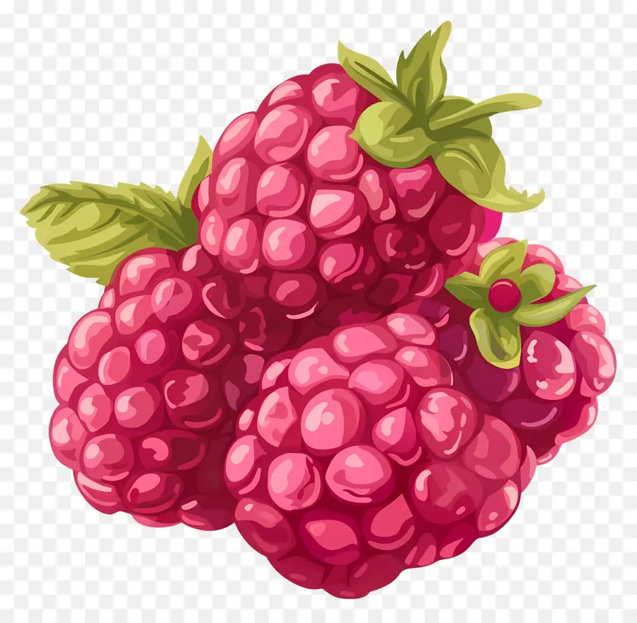 Frambuesas，La Fruta PNG