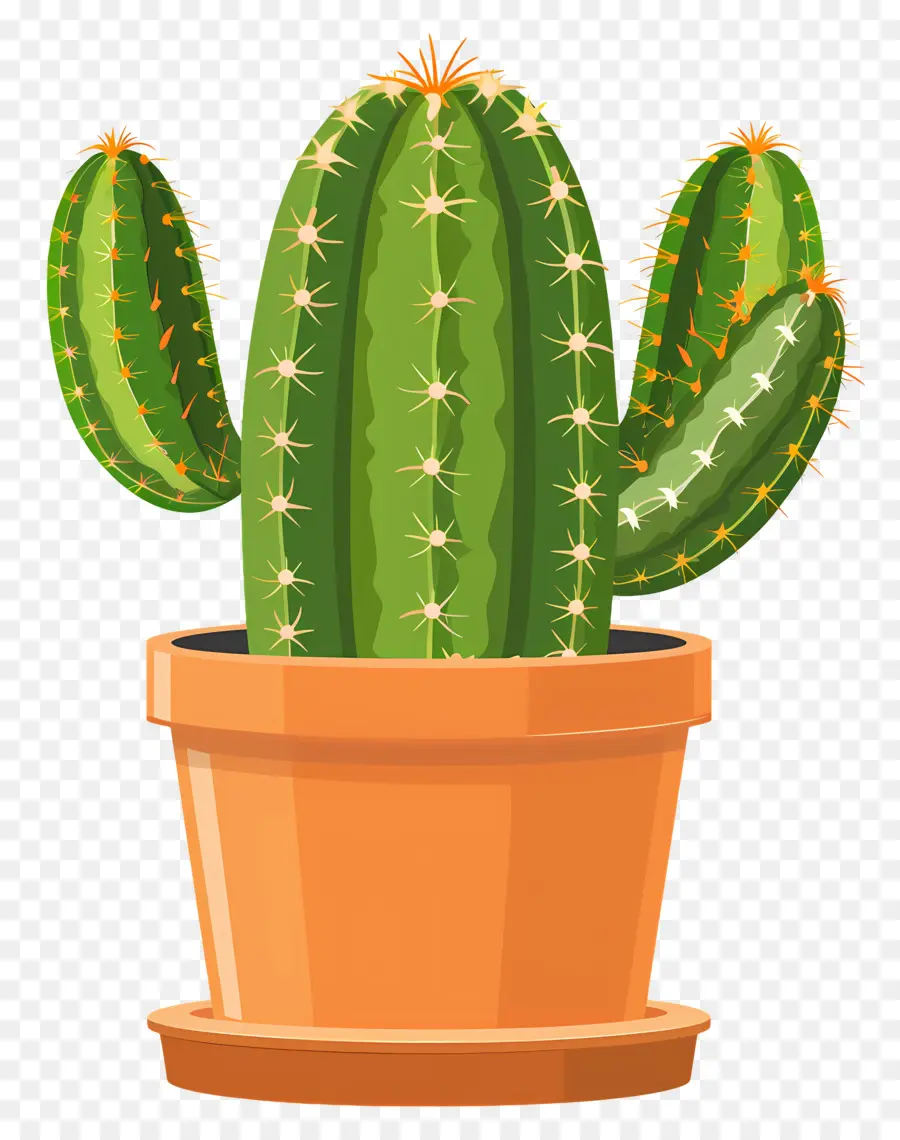 Cactus En Maceta，Planta De Cactus PNG