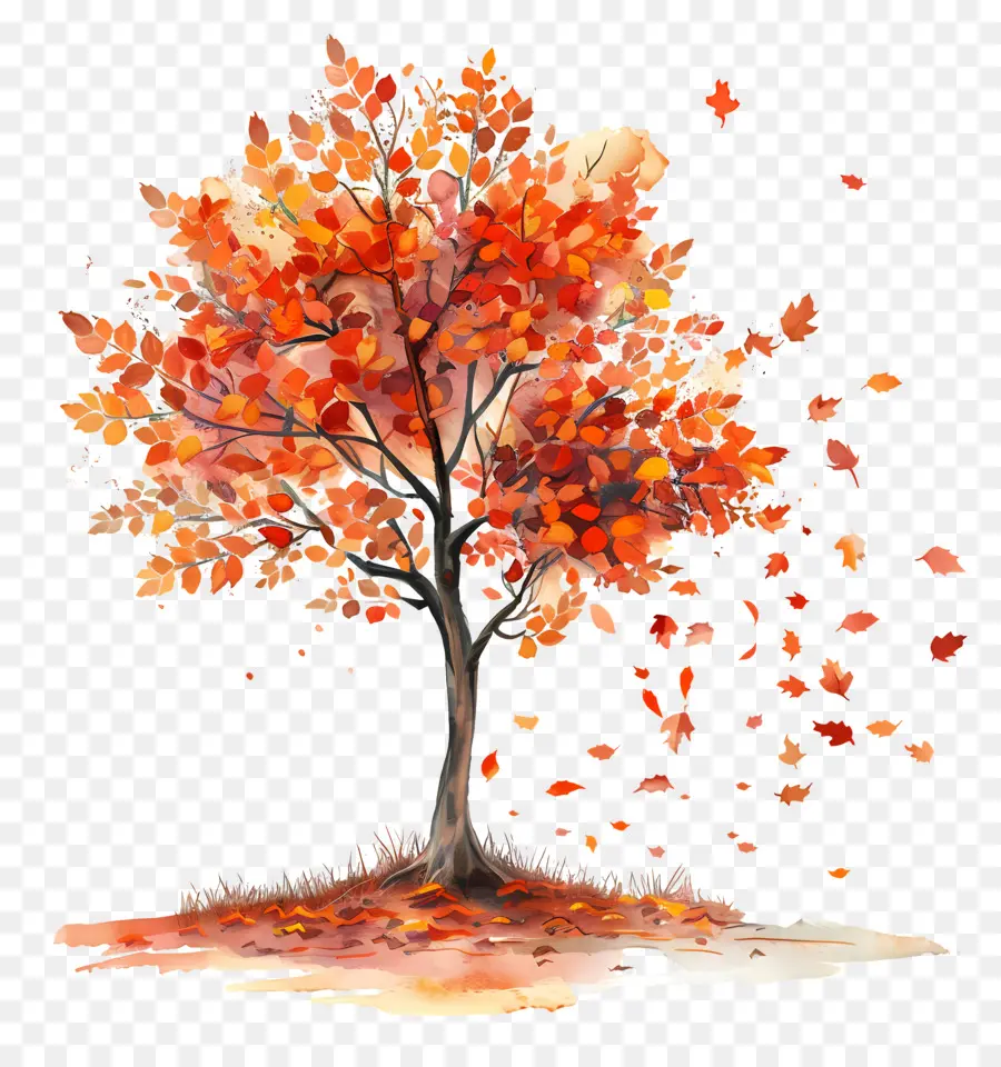 árbol De Otoño，La Caída De Las Hojas PNG