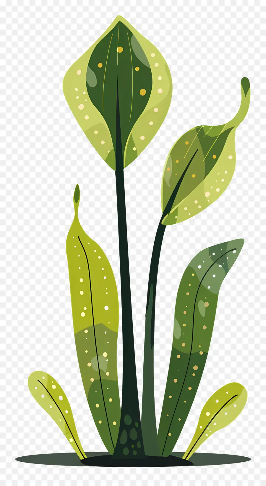 Planta De Jarra，Planta Verde PNG