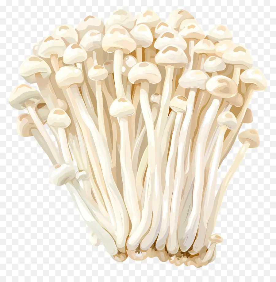 Setas Enoki，Setas PNG