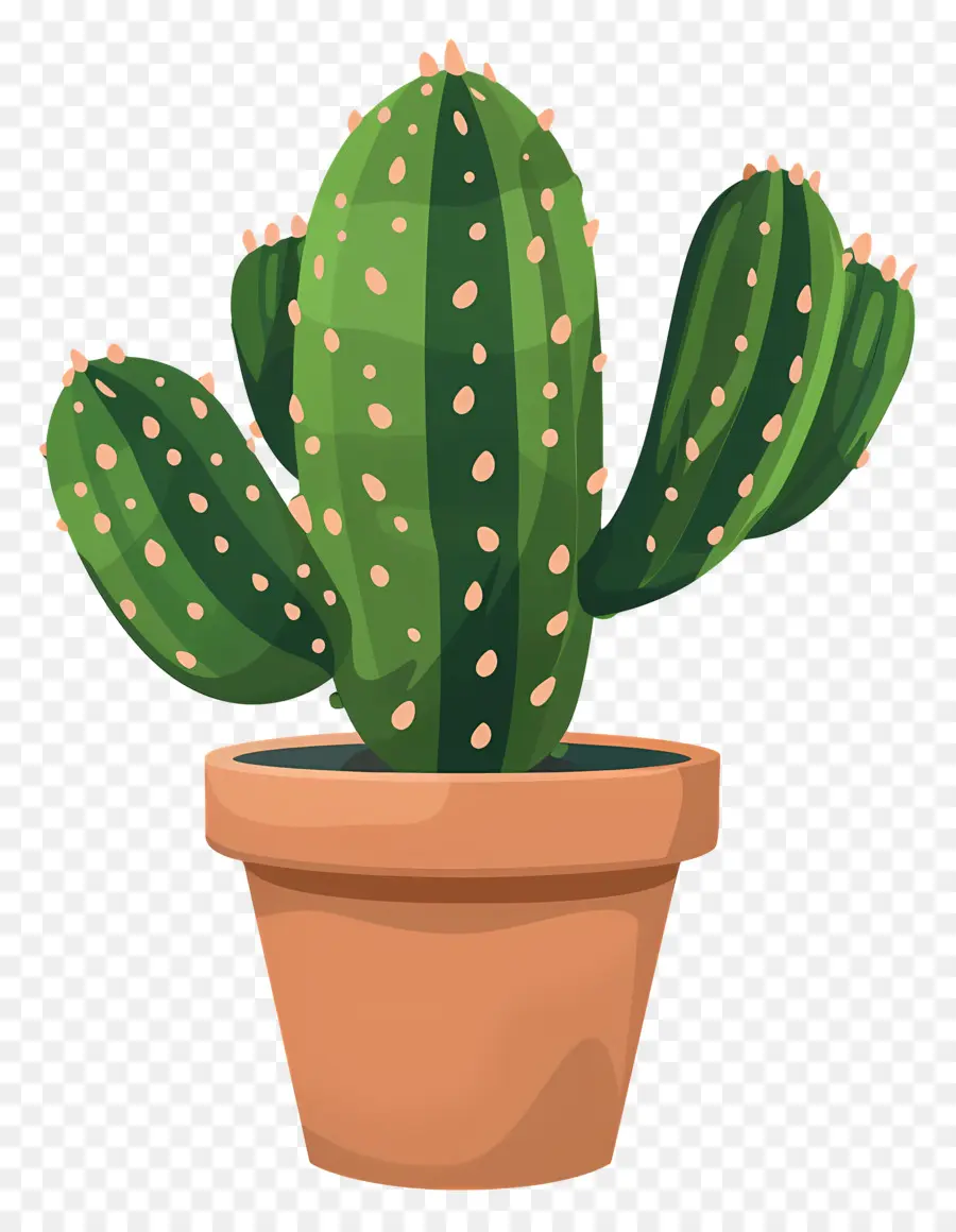 Cactus En Maceta，Planta De Cactus PNG