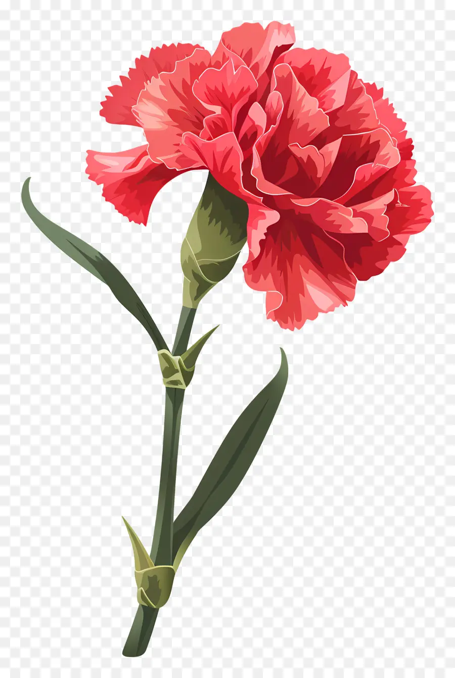 Clavel，Clavel Rosa PNG