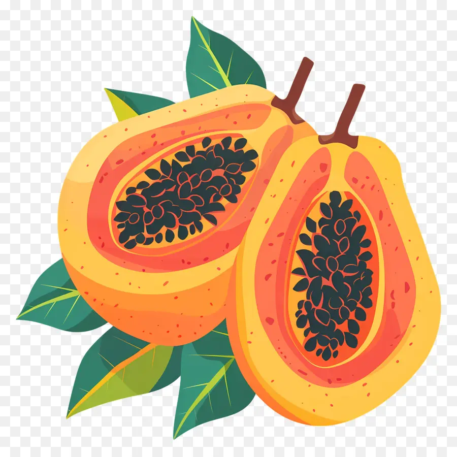 Papaya，Tropical PNG