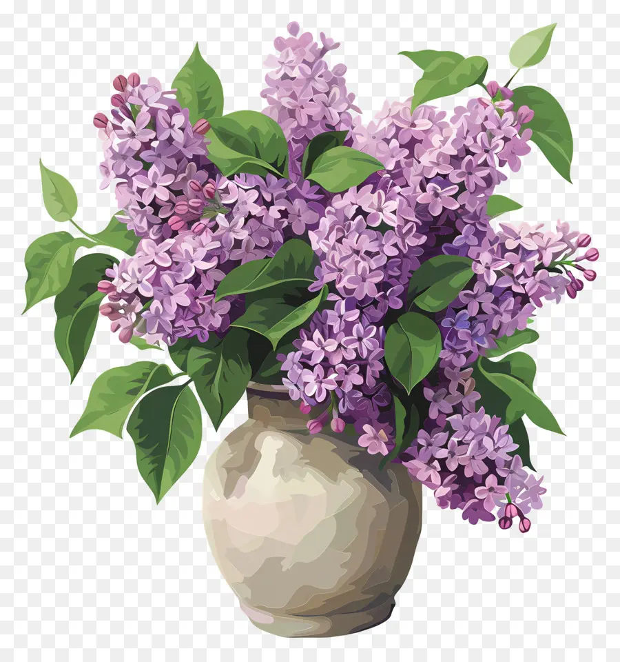 Lila Estetica，Flores Moradas En Florero PNG