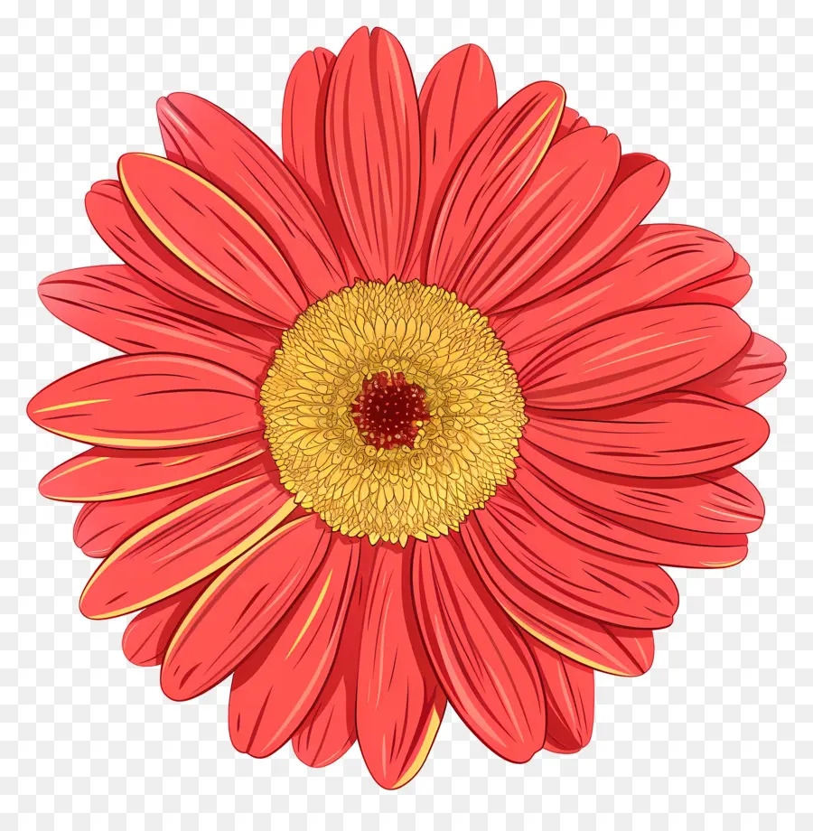 Flor Gerbera Daisy，Pink Daisy PNG