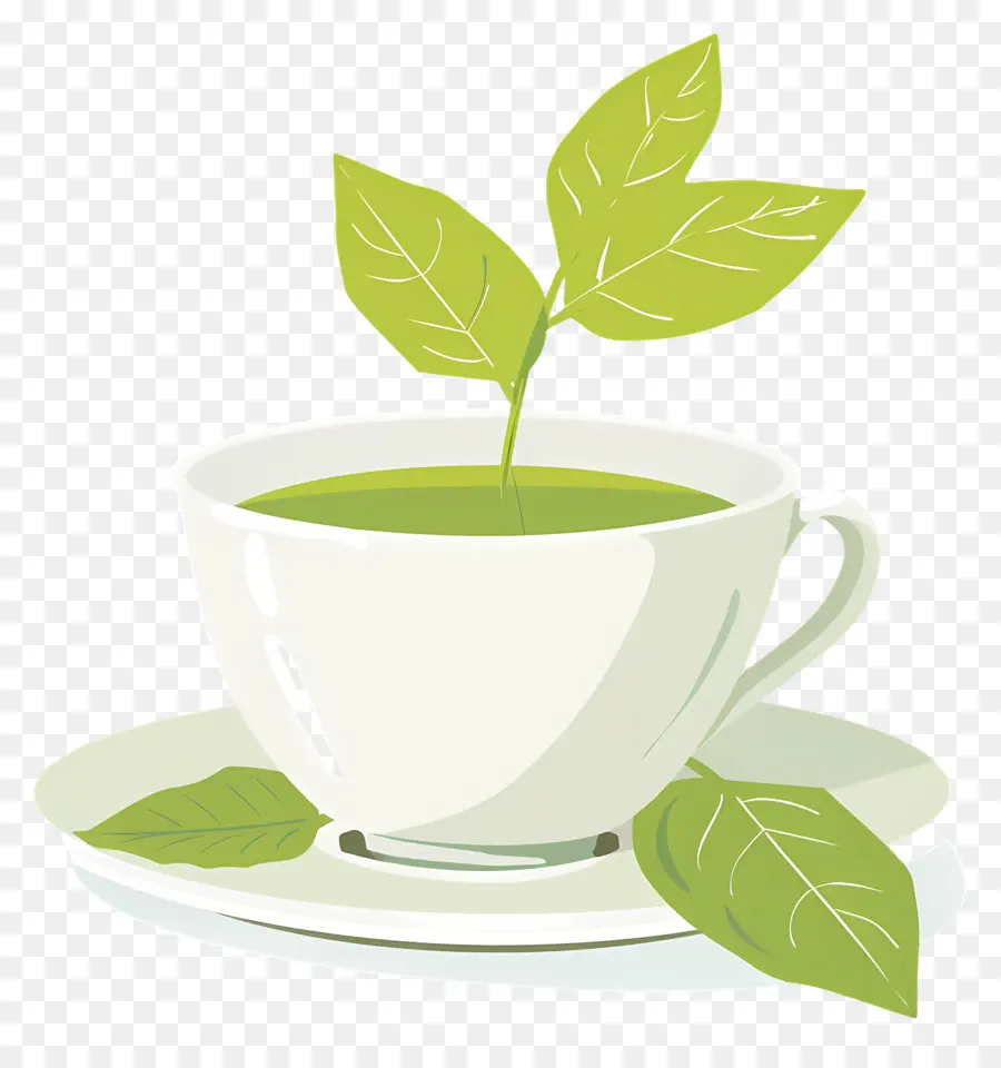 Té Verde，Té PNG