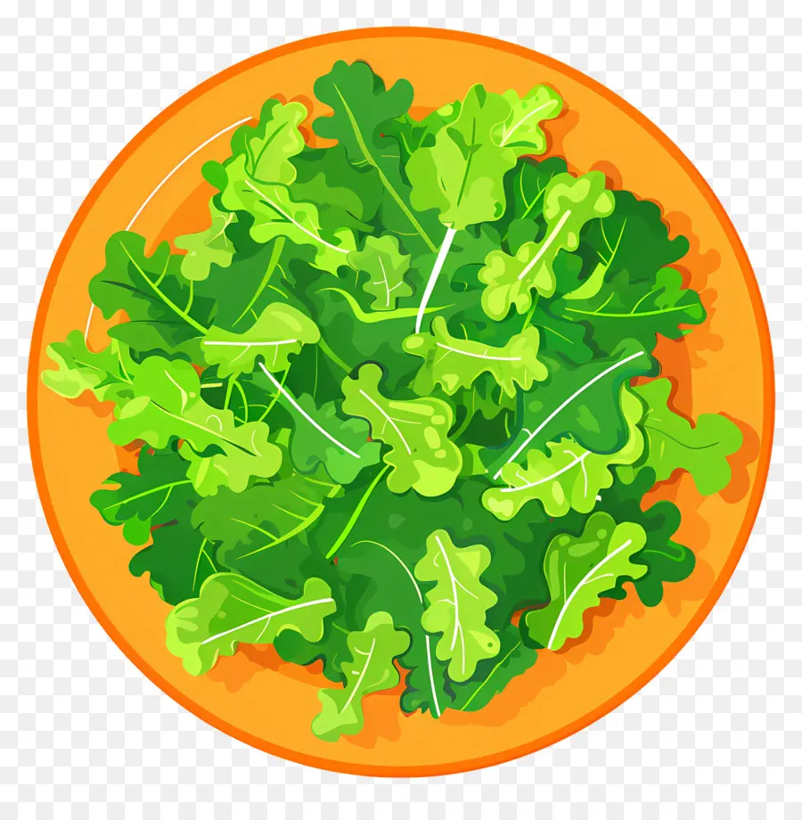 Ensalada Verde，Ensalada PNG