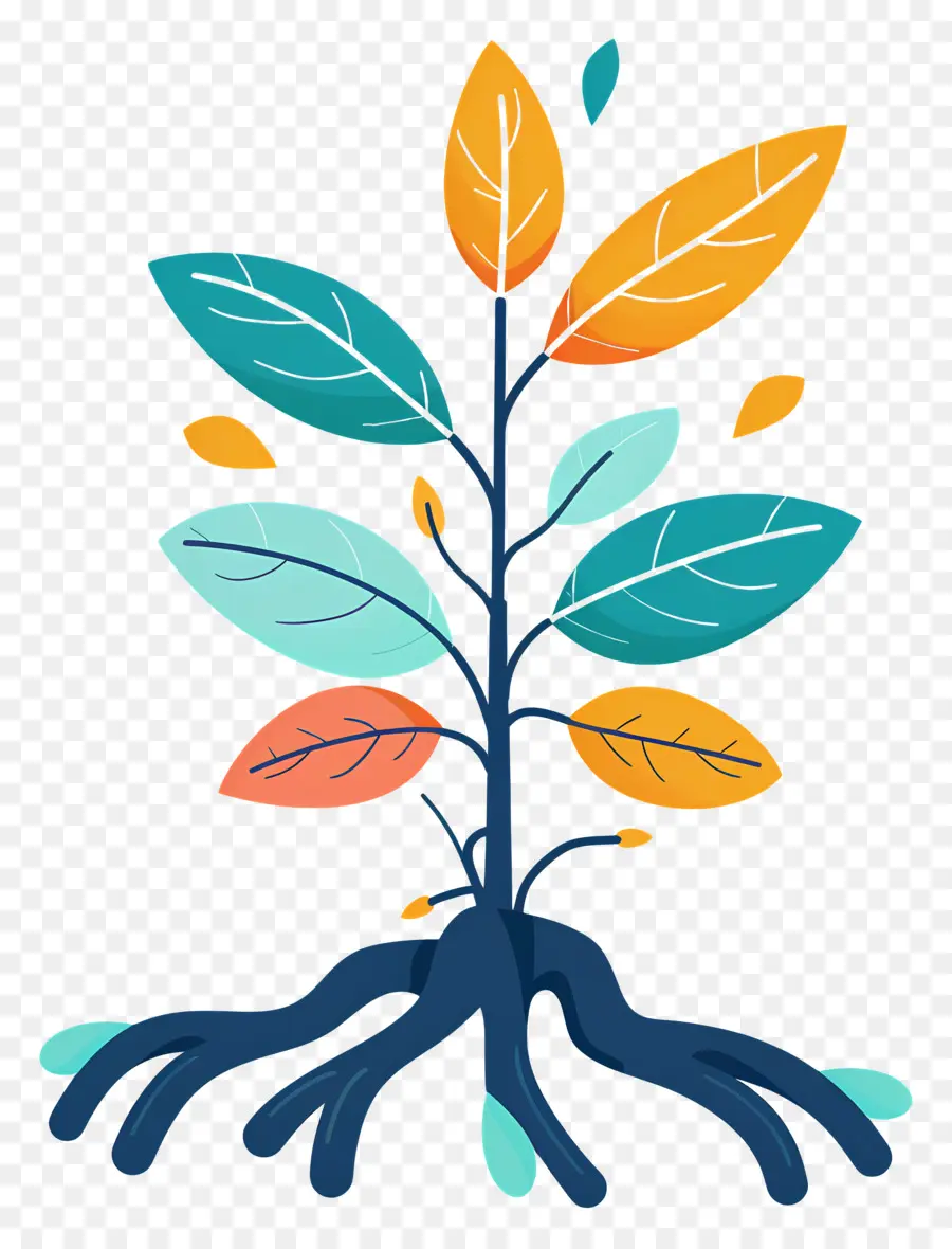 Raíz De La Planta，Dibujos Animados De árbol PNG