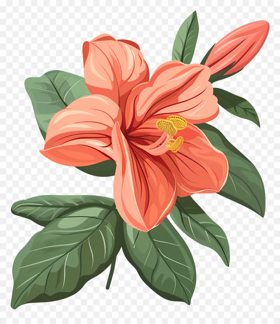 De La Vendimia De La Flor，Flor De Naranja PNG