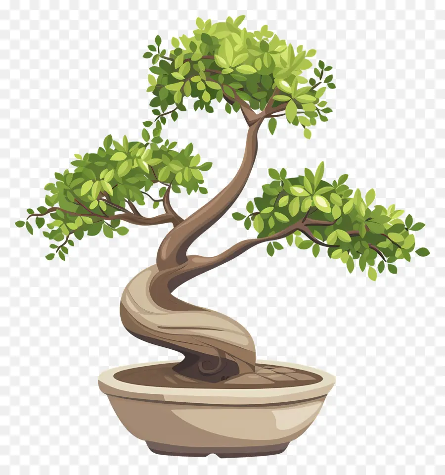 árbol De Los Bonsais，La Jardinería De Interiores PNG