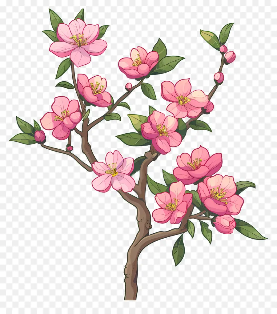 Flor Rosa，Árbol PNG