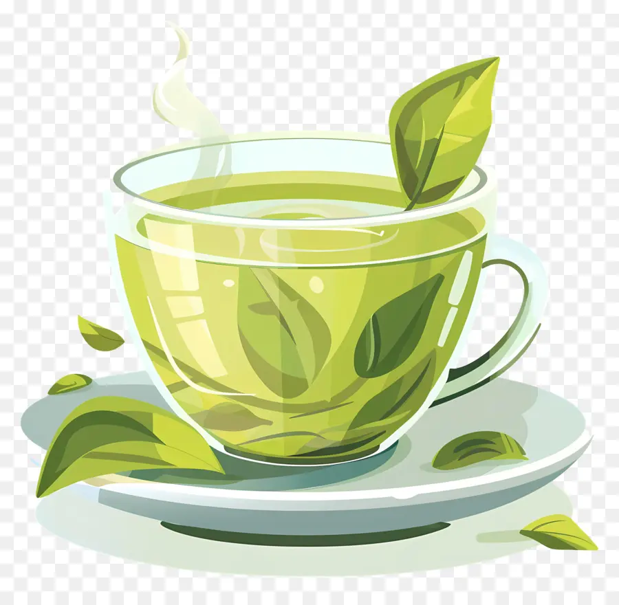 Té Verde，La Taza De Té PNG