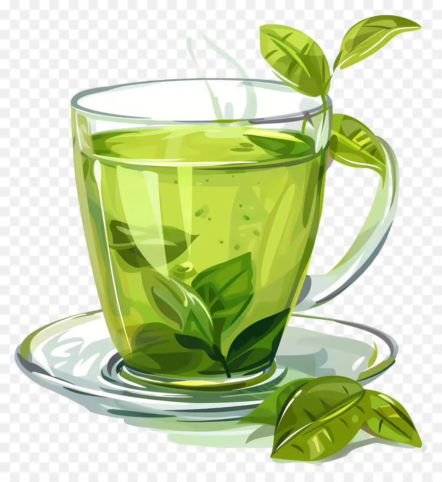 Té Verde，La Taza De Té Verde PNG