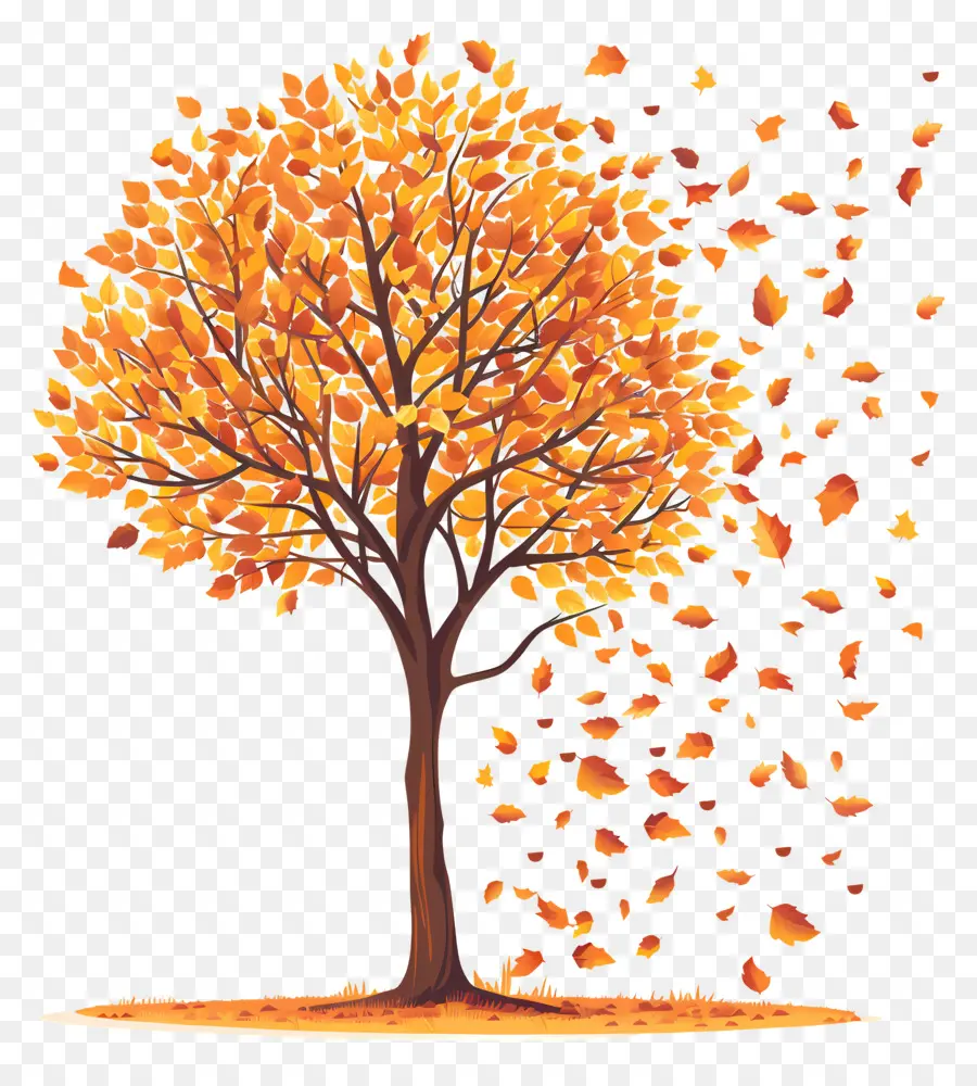 árbol De Otoño，La Caída De Las Hojas PNG