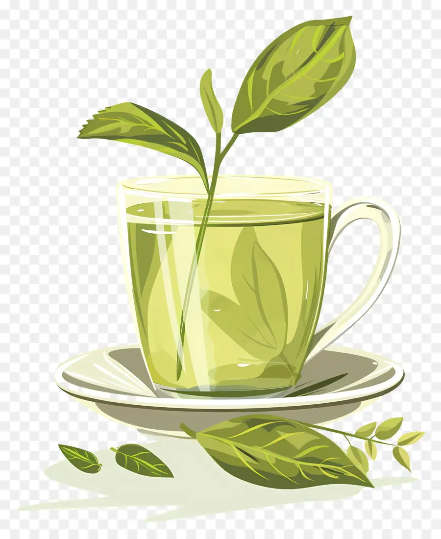 Té Verde，Taza PNG