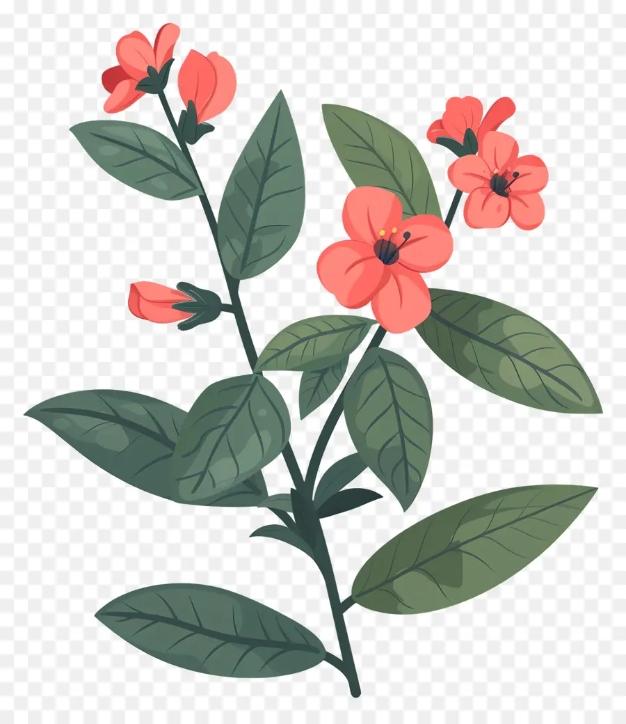 Flores De Color Rosa，Arbustos PNG