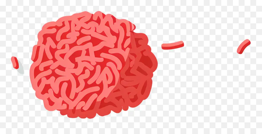 La Carne Molida De Res，El Daño Cerebral PNG