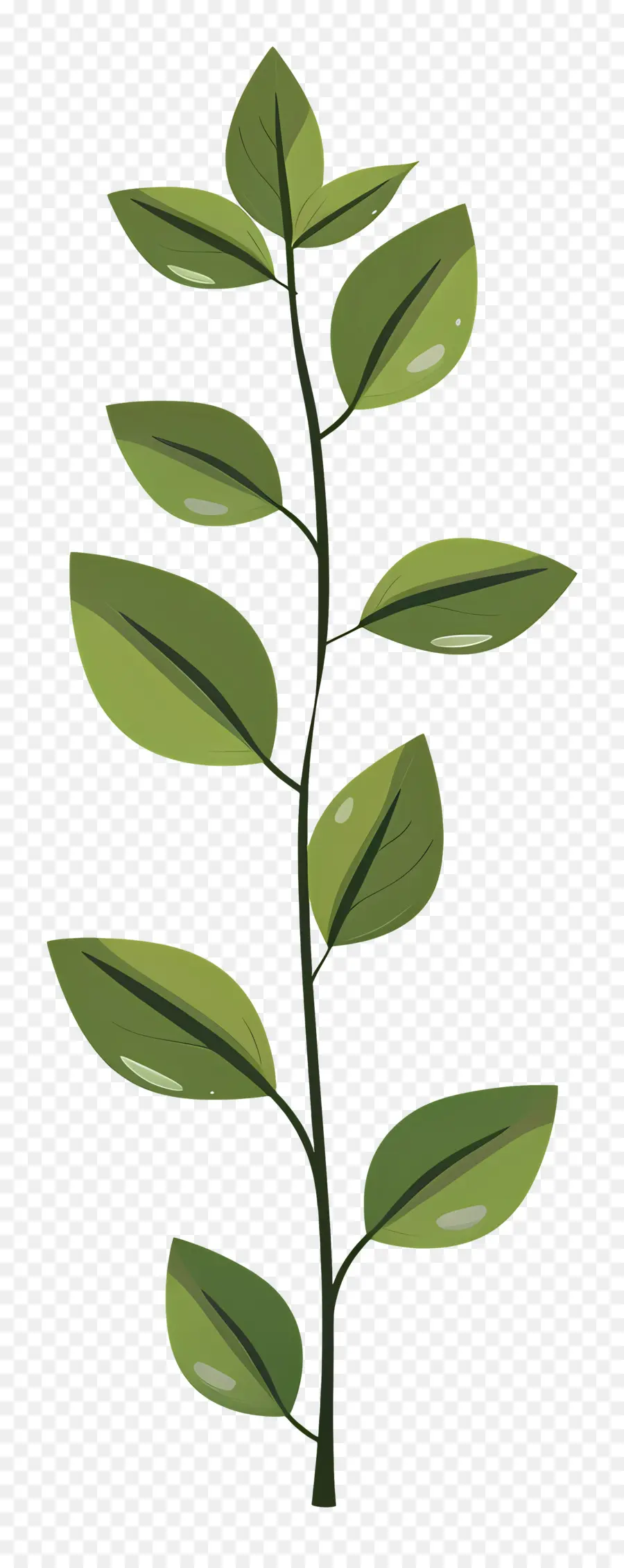 Tallo De La Planta，Planta Verde PNG