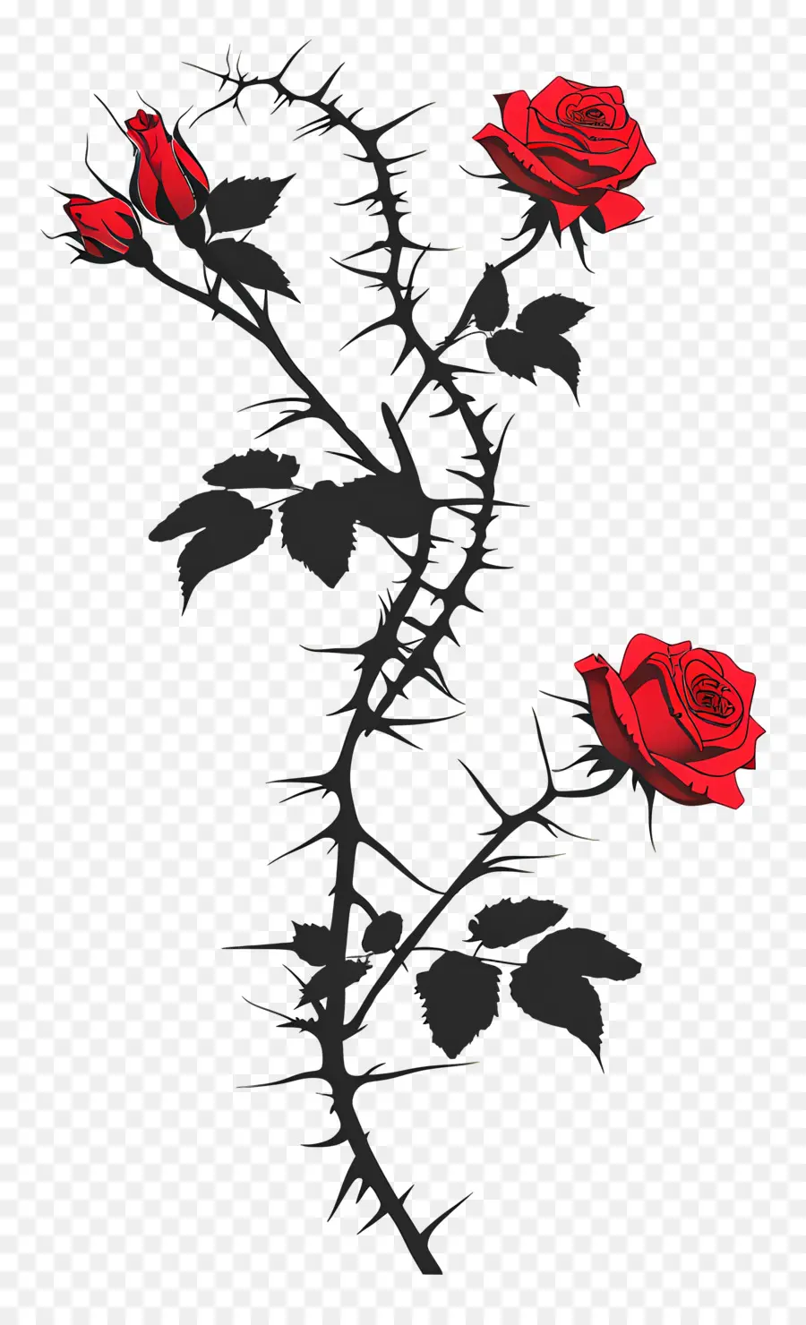 Espinas De Rosas，Rosas Rojas PNG