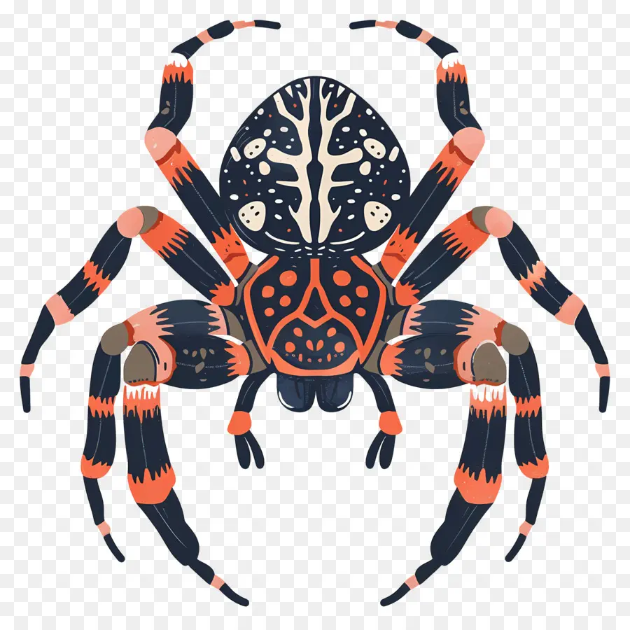 Araña De Halloween，Araña PNG