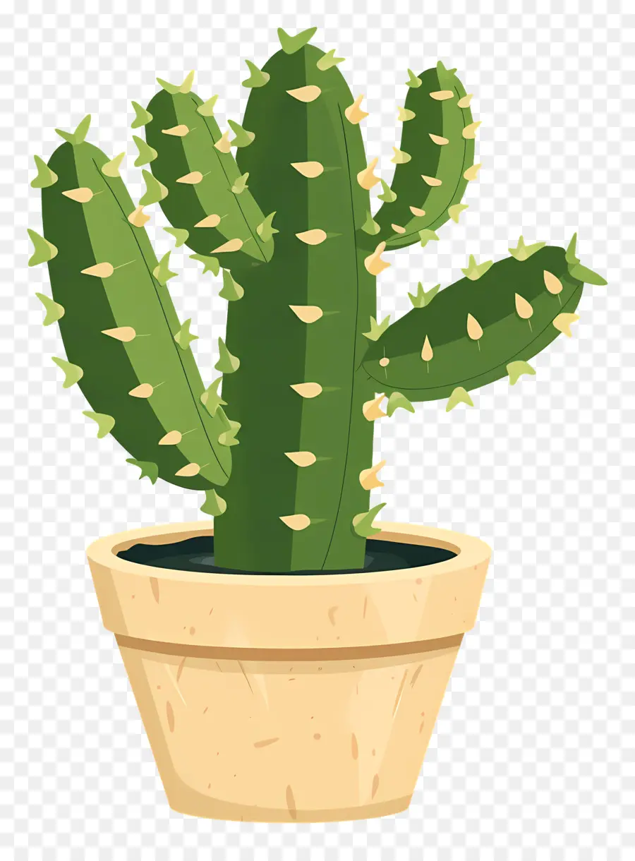 Verde Cactus，Cactus PNG