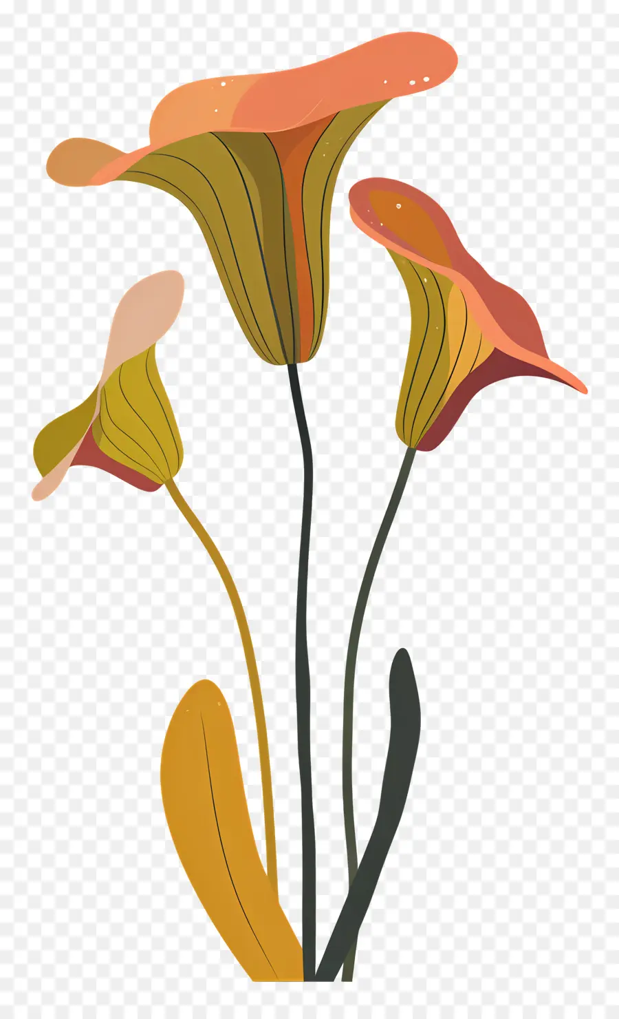 Planta De Jarra，Florero PNG