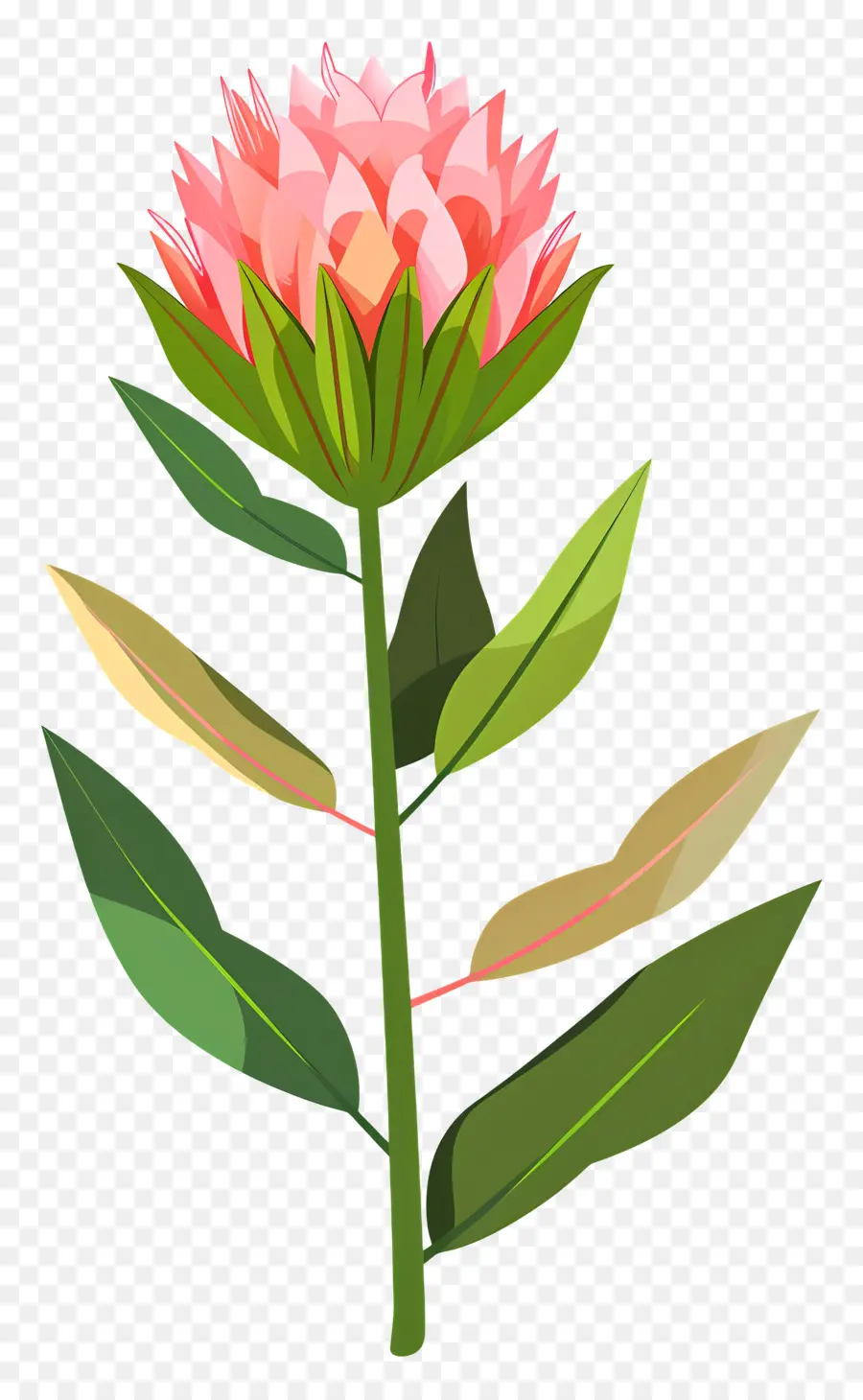 Flor Rosa，Centro Amarillo PNG