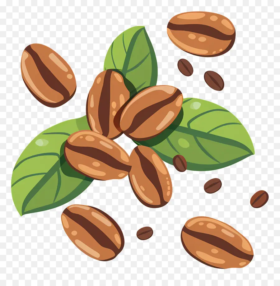 Los Granos De Café，Cafe Tostado PNG