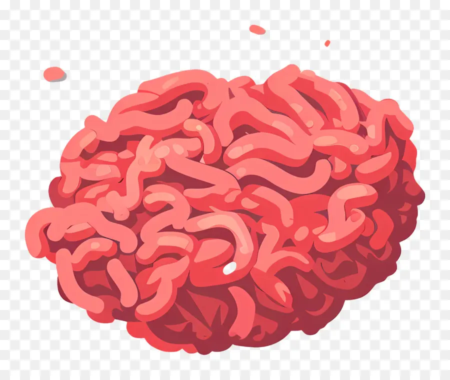 La Carne Molida De Res，Cerebro PNG