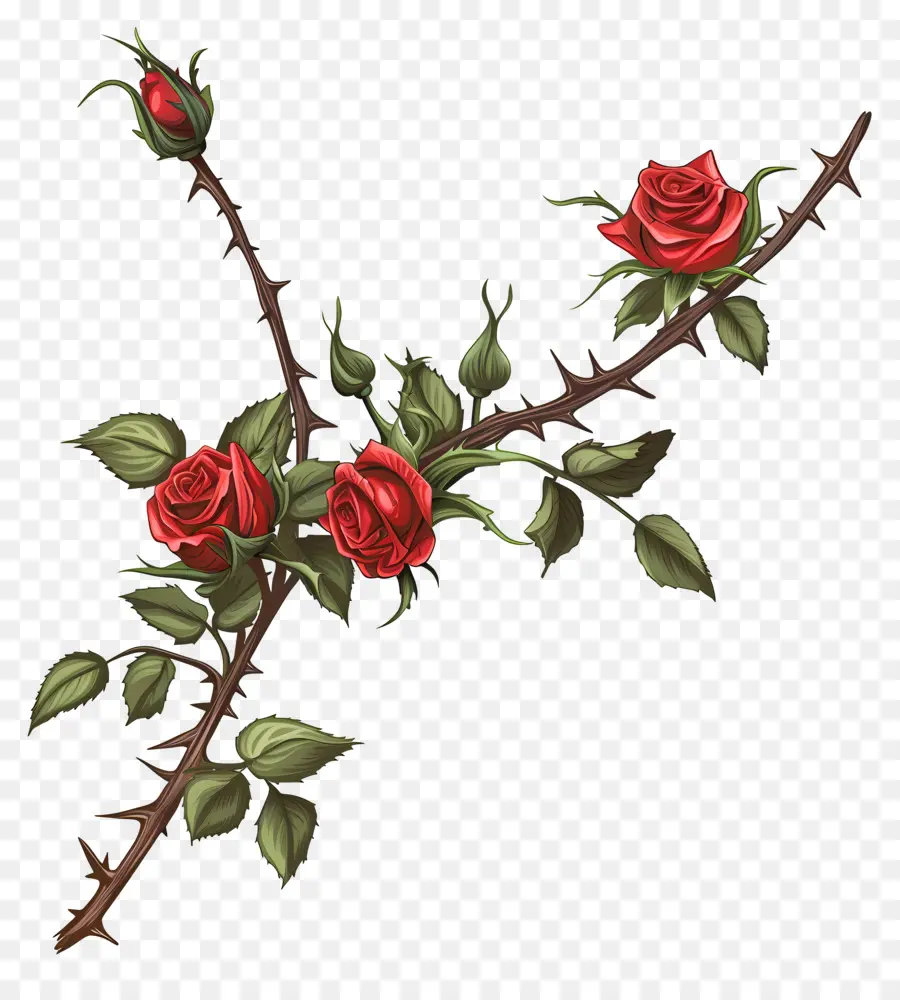 Espinas De Rosas，Rosas Rojas PNG