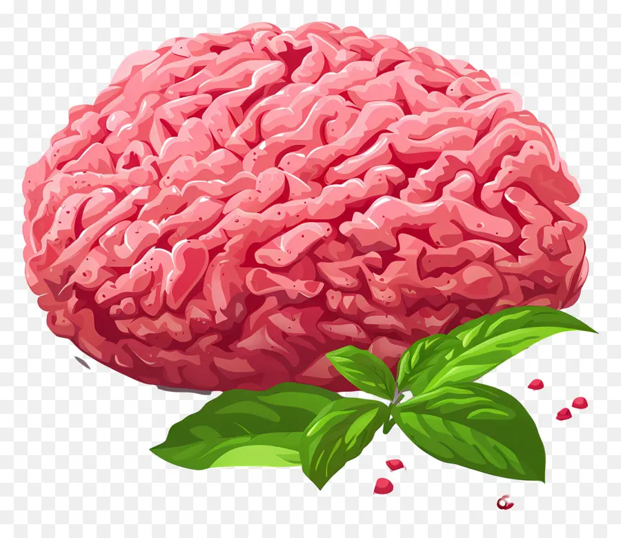 La Carne Molida De Res，El Cerebro Humano PNG