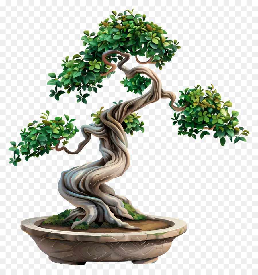 árbol De Los Bonsais，Planta En Miniatura PNG