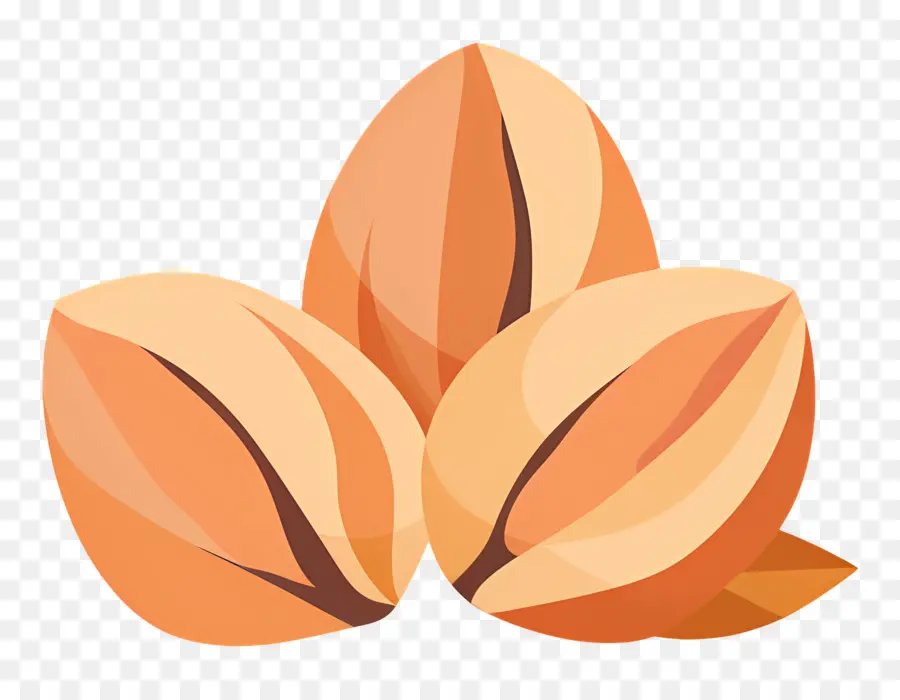 Tuercas，Almendras PNG