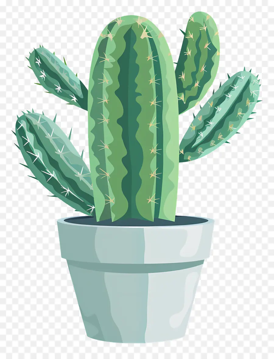 Verde Cactus，Cactus PNG