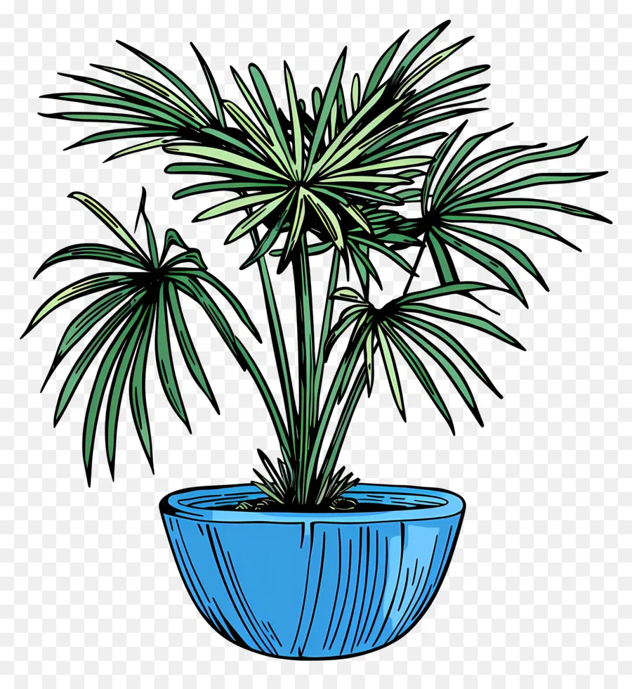 Palmera De Abanico Mexicana，Plantador De Cerámica Azul PNG