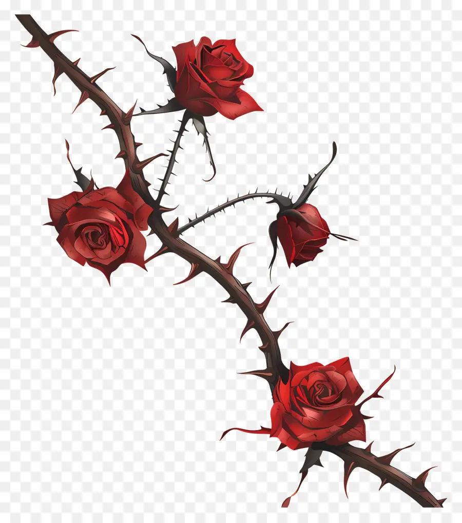 Espinas De Rosas，Rosas Rojas PNG