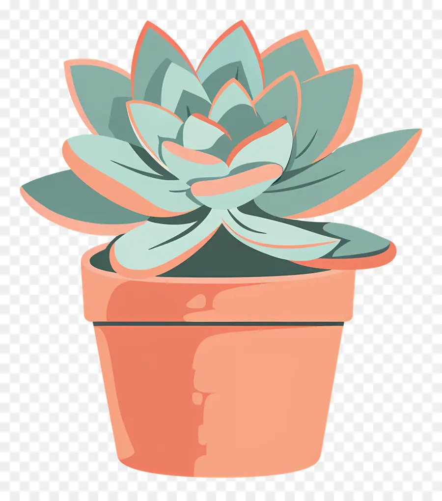 Planta Suculenta，Planta En Maceta PNG