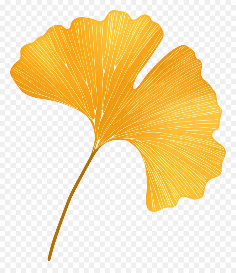 Hoja De Gingko，Hoja Dorada PNG