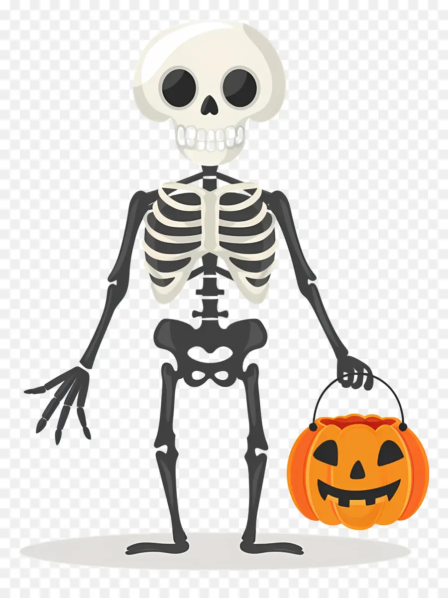 Halloween Esqueleto，Esqueleto PNG