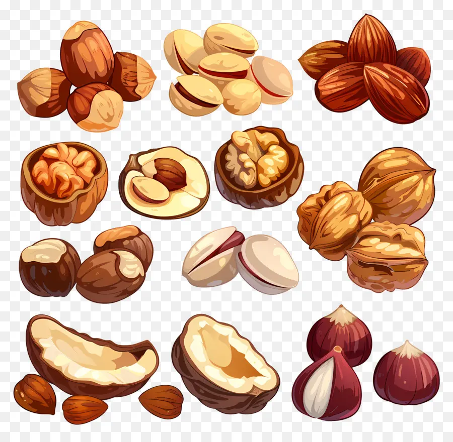 Tuercas，Nueces PNG