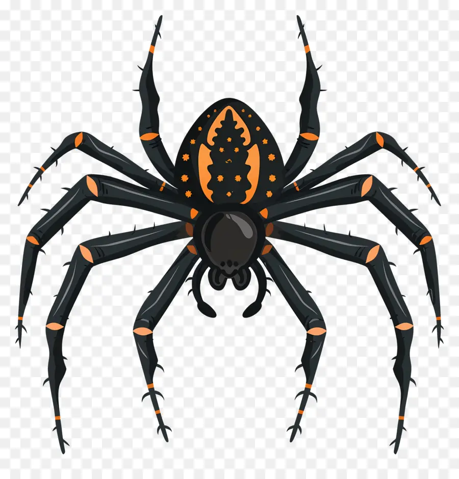 Araña De Halloween，Araña PNG