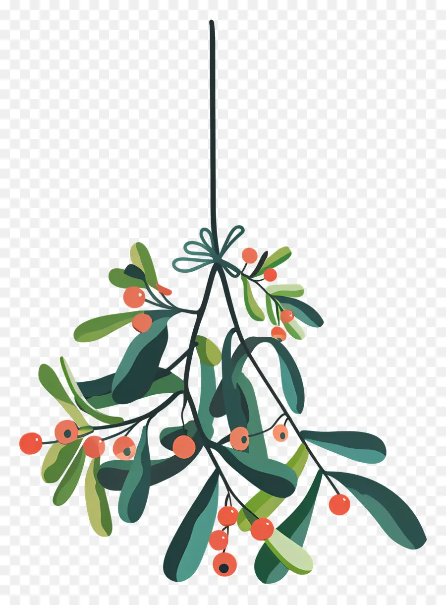 Colgando Muérdago，árbol De Navidad PNG