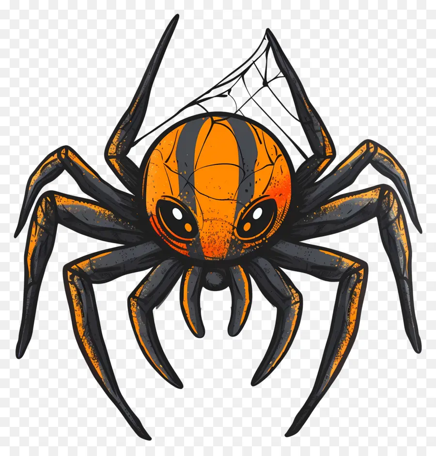 Araña De Halloween，Araña PNG