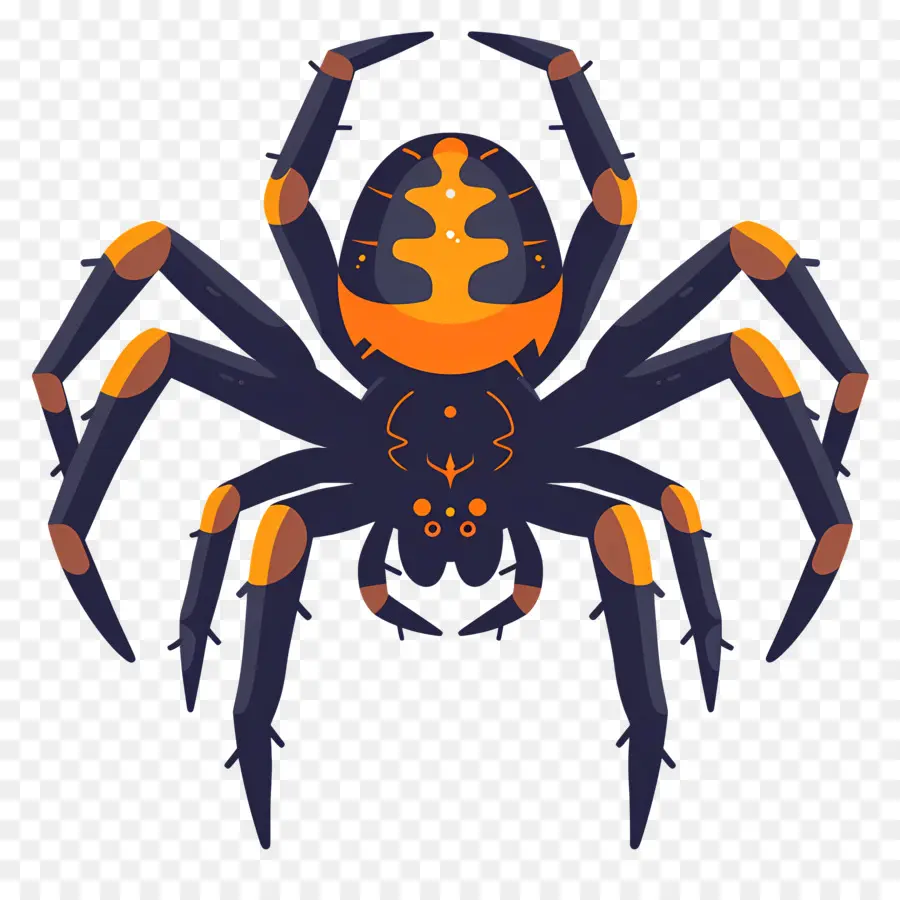 Araña De Halloween，Araña PNG